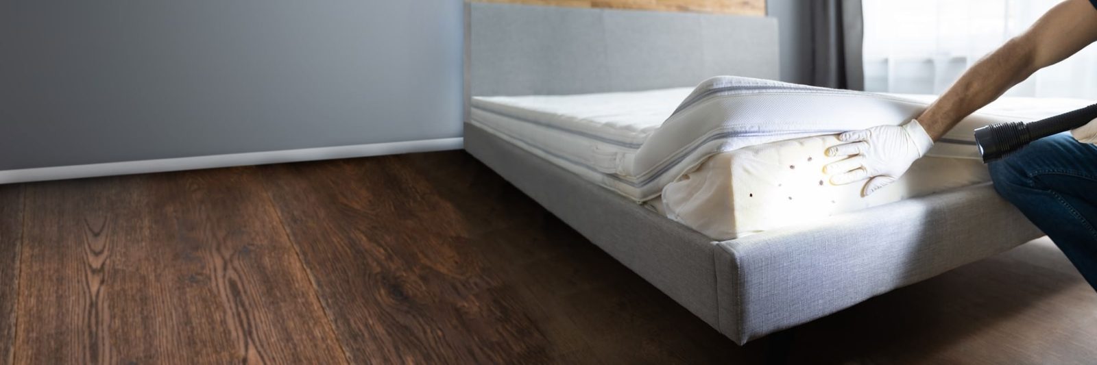 Mattress being checked for bed bugs